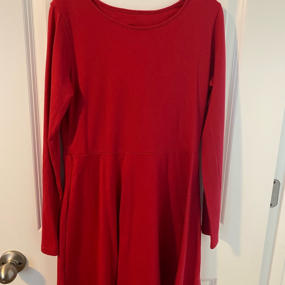 The Children’s Place red skater dress